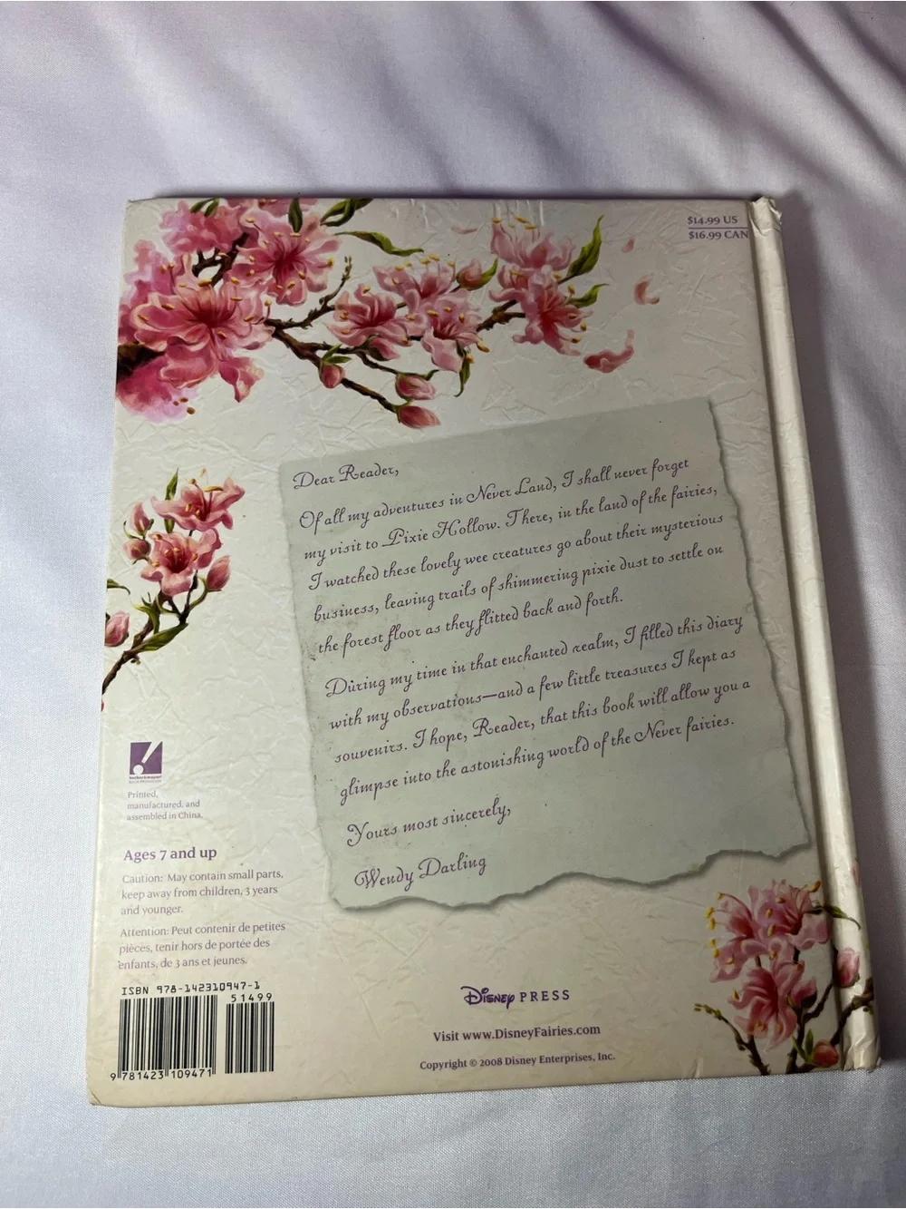 Disney Press The Hidden World of Fairies Hardcover 2008 1st Edition Y2K